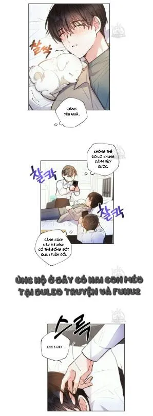 Mưa Giông Chapter 63 Trang 15