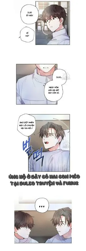 Mưa Giông Chapter 65 Trang 5