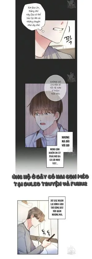 Mưa Giông Chapter 67 Trang 3