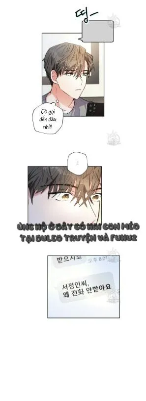 Mưa Giông Chapter 67 Trang 5