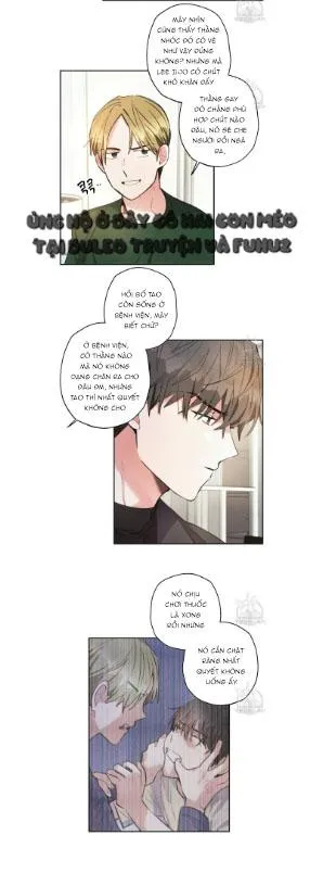 Mưa Giông Chapter 67 Trang 18