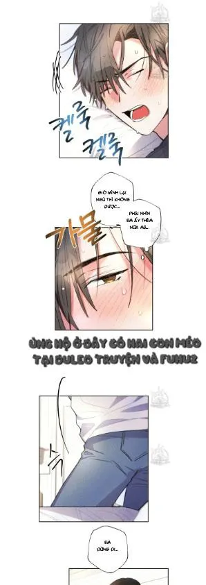 Mưa Giông Chapter 68 Trang 5