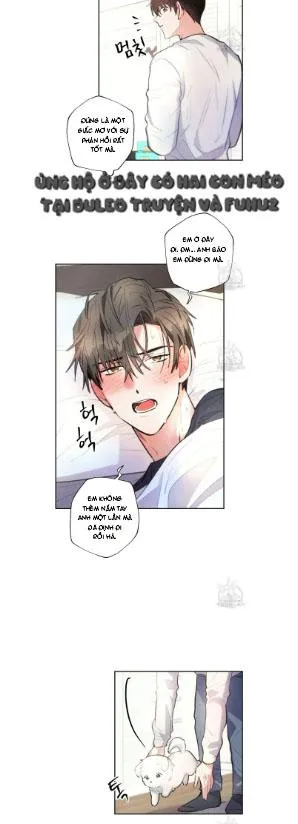 Mưa Giông Chapter 68 Trang 6