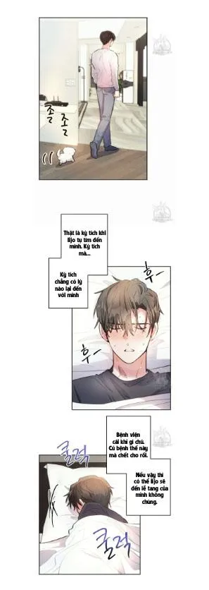 Mưa Giông Chapter 68 Trang 7