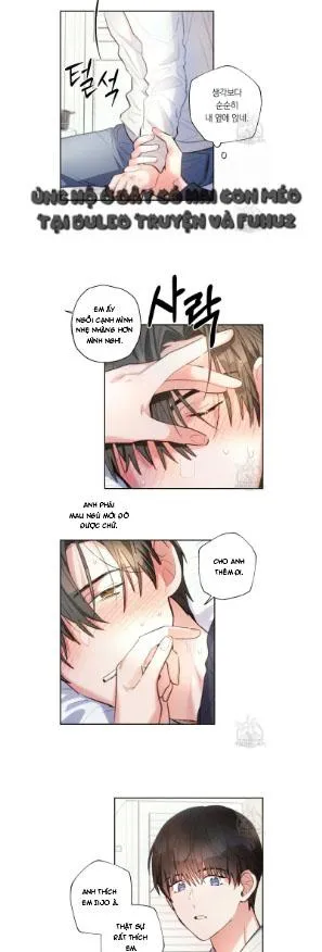 Mưa Giông Chapter 68 Trang 11