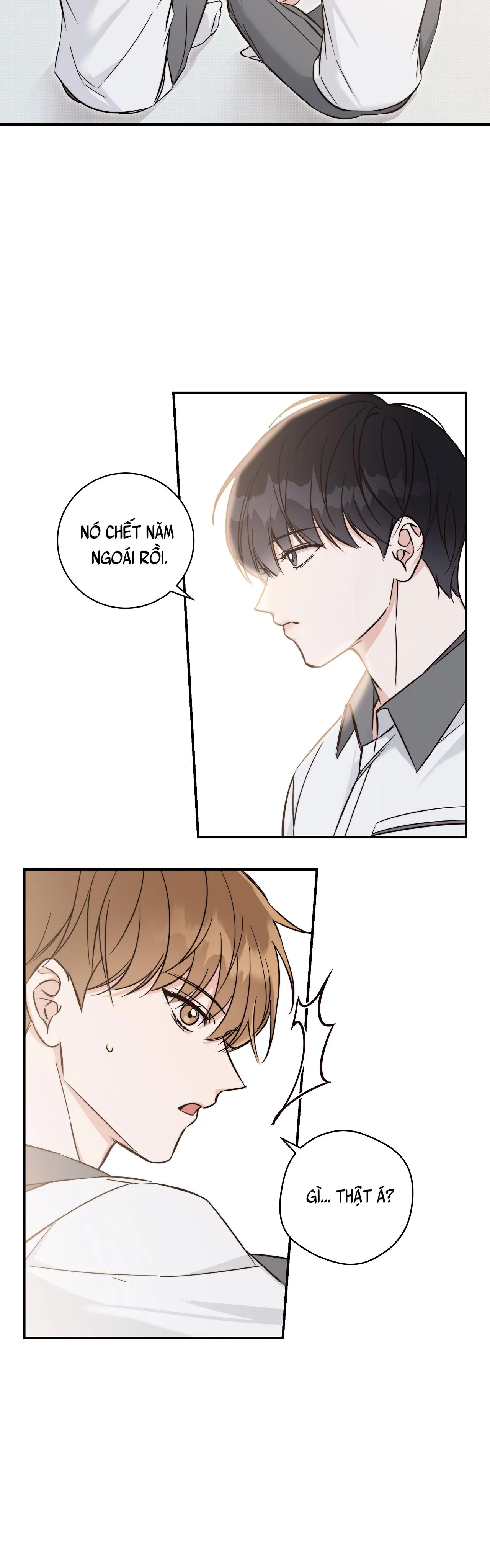 (END) MÙA HÈ NĂM ẤY Chapter 6 Trang 29