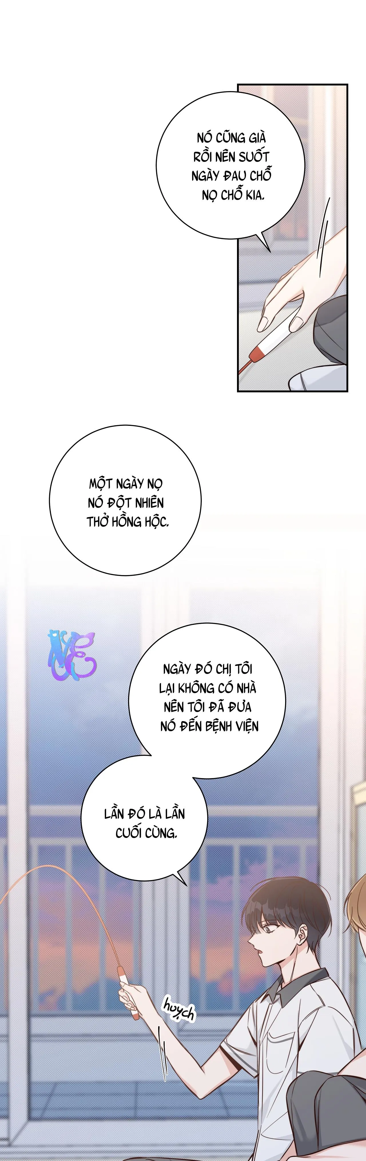 (END) MÙA HÈ NĂM ẤY Chapter 6 Trang 30