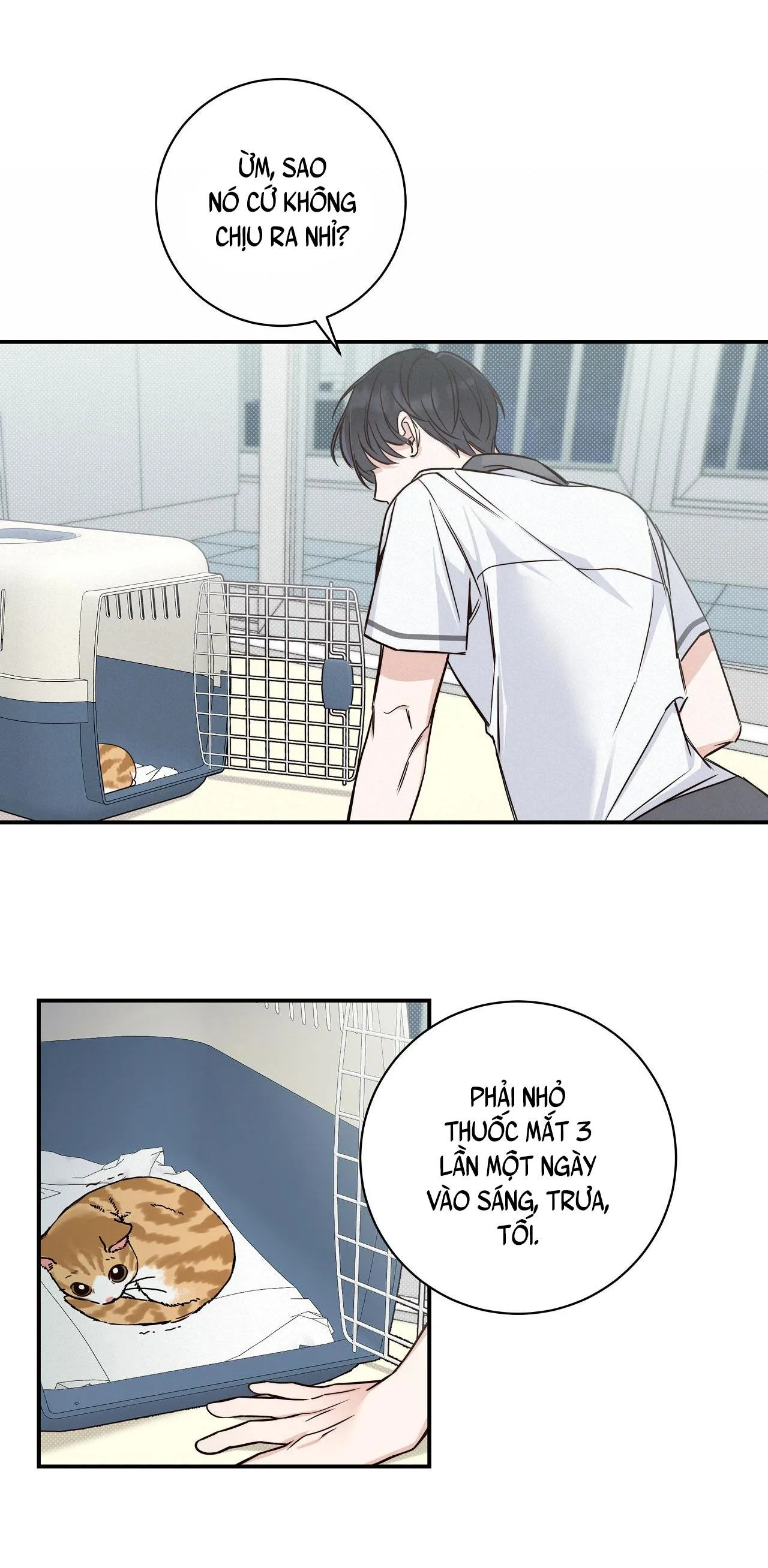 (END) MÙA HÈ NĂM ẤY Chapter 7 Trang 28