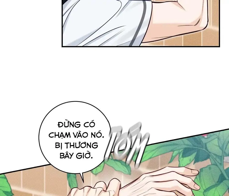 (END) MÙA HÈ NĂM ẤY Chapter 37 Trang 43