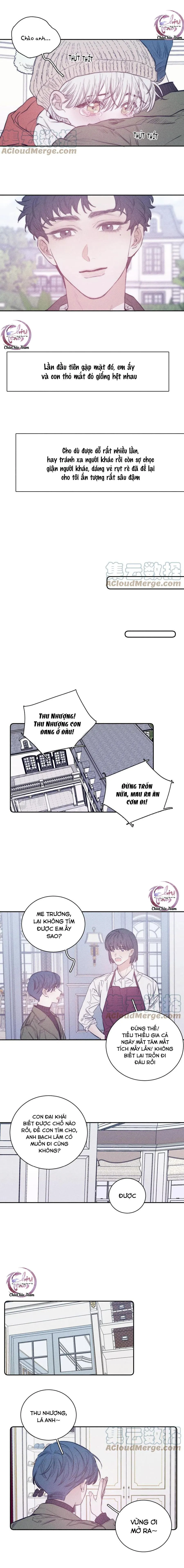 Mùa Xuân Đang Đến Chapter 46 Trang 4