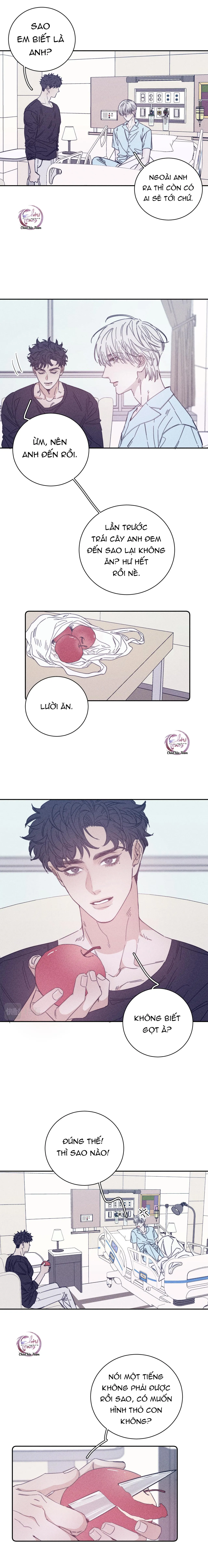 Mùa Xuân Đang Đến Chapter 60 Trang 5