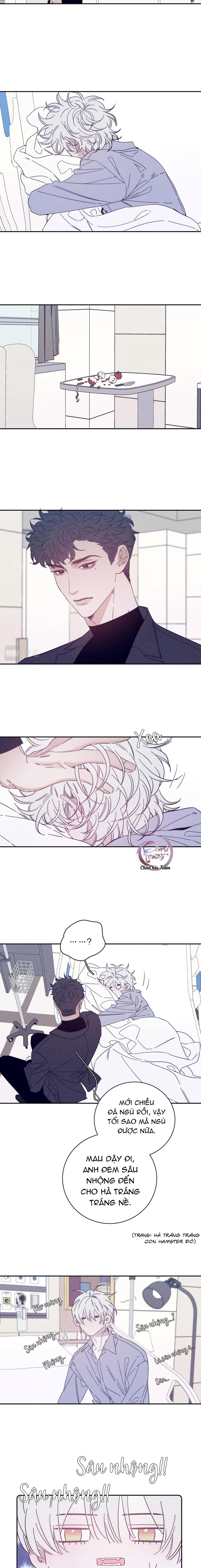 Mùa Xuân Đang Đến Chapter 70 Trang 3