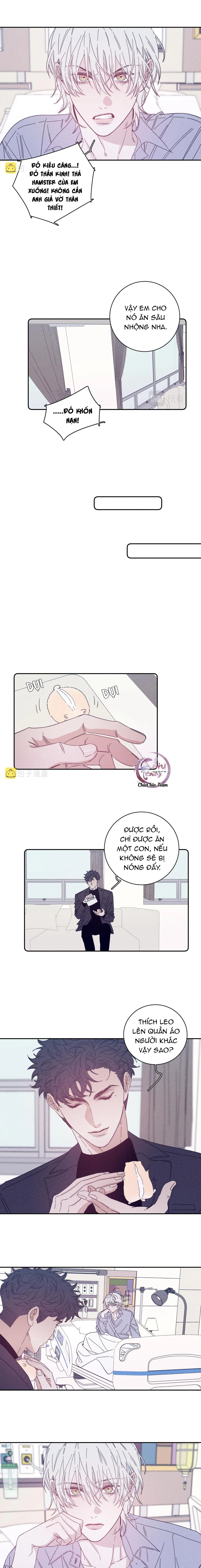 Mùa Xuân Đang Đến Chapter 70 Trang 5