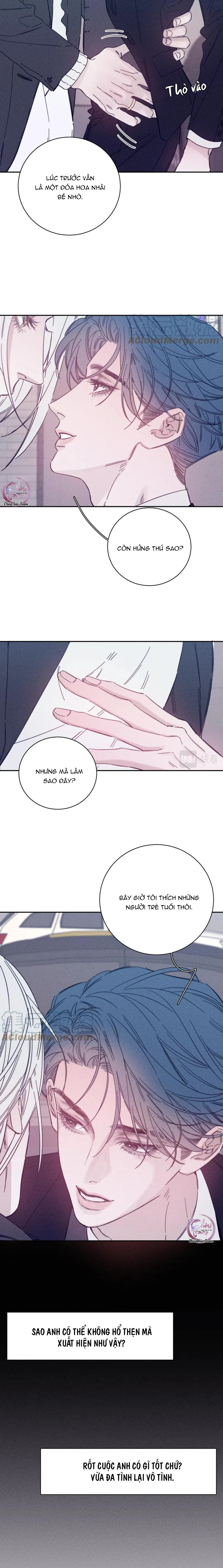 Mùa Xuân Đang Đến Chapter 82 Trang 4