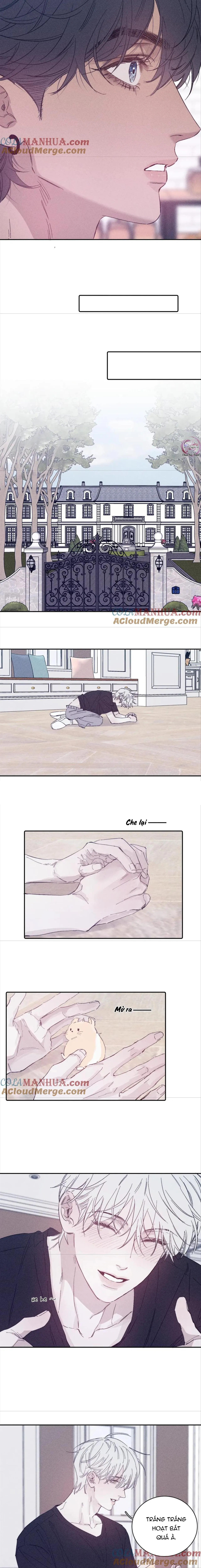 Mùa Xuân Đang Đến Chapter 95 Trang 4