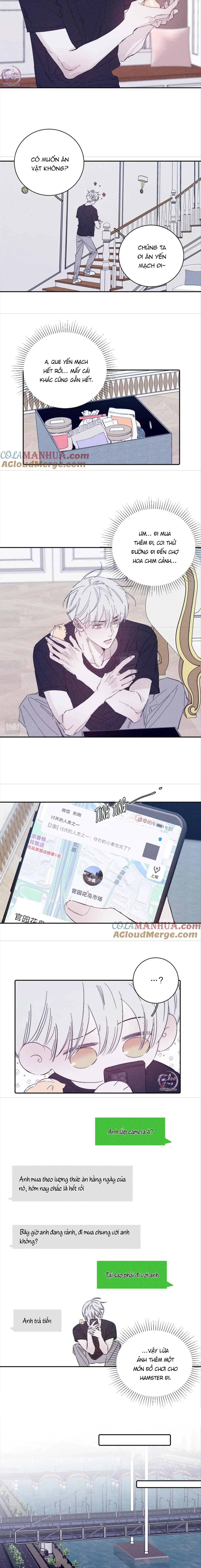 Mùa Xuân Đang Đến Chapter 95 Trang 5