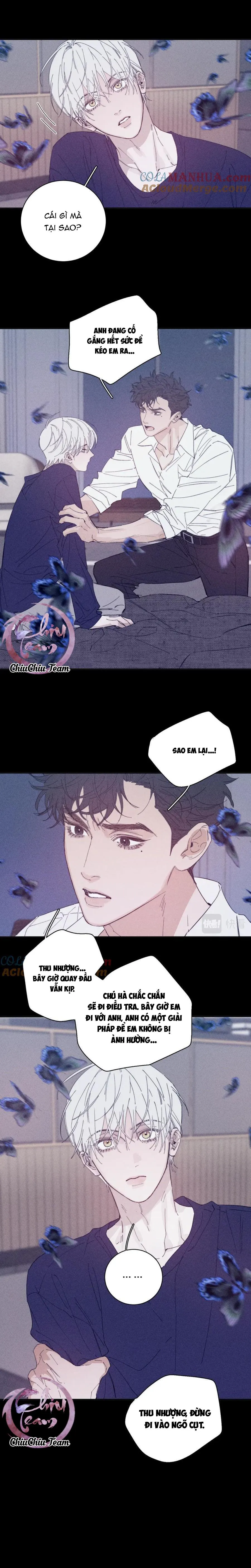 Mùa Xuân Đang Đến Chapter 99 Trang 11