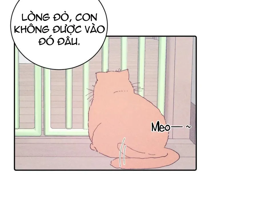 Mùa Xuân Đang Đến Chapter 105 Trang 16