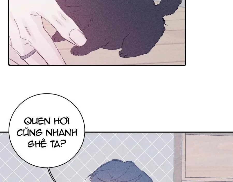 Mùa Xuân Đang Đến Chapter 105 Trang 20