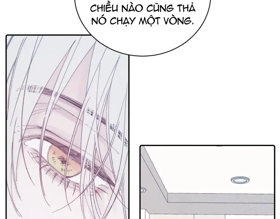 Mùa Xuân Đang Đến Chapter 105 Trang 65