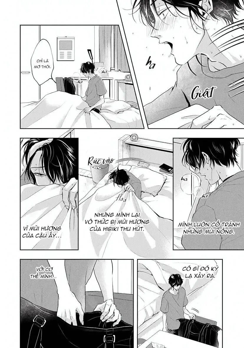 Mùi Hương Khó Cưỡng Chapter 4 Trang 3