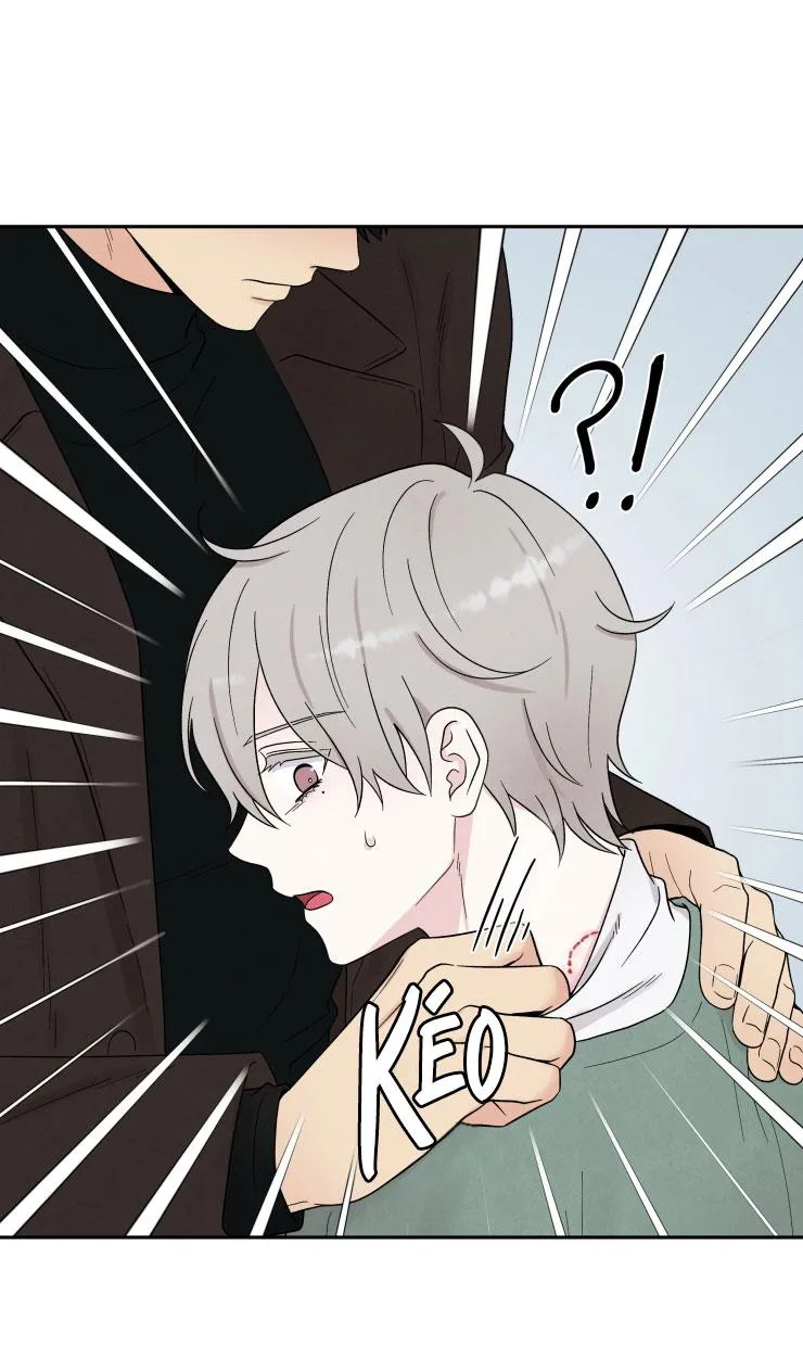 Muốn kết hôn với em ngay lần đầu gặp mặt Chapter 4 Trang 11