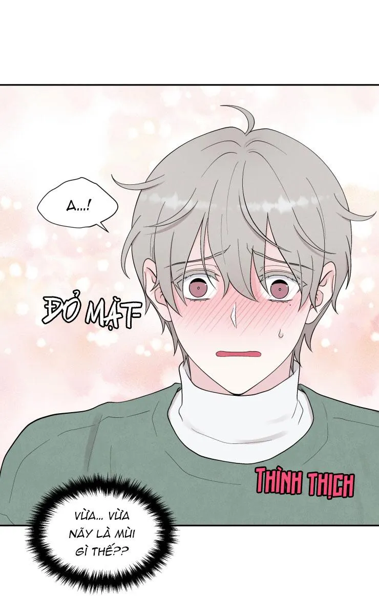 Muốn Kết Hôn Với Em Ngay Lần Gặp Đầu Tiên Chapter 3 Trang 66