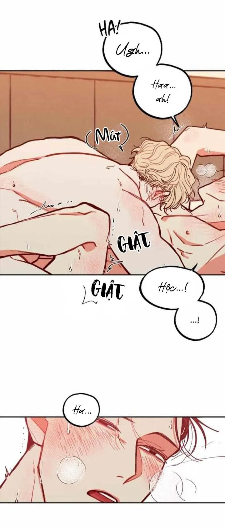 [HOÀN] Muốn Sống Thì Phải Giữ Trinh Chapter 15 Trang 13