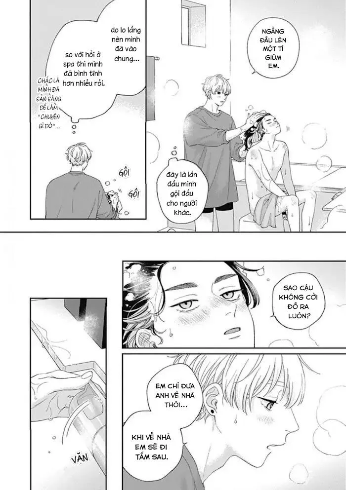 Mứt Tình Yêu Chapter 8 Trang 19