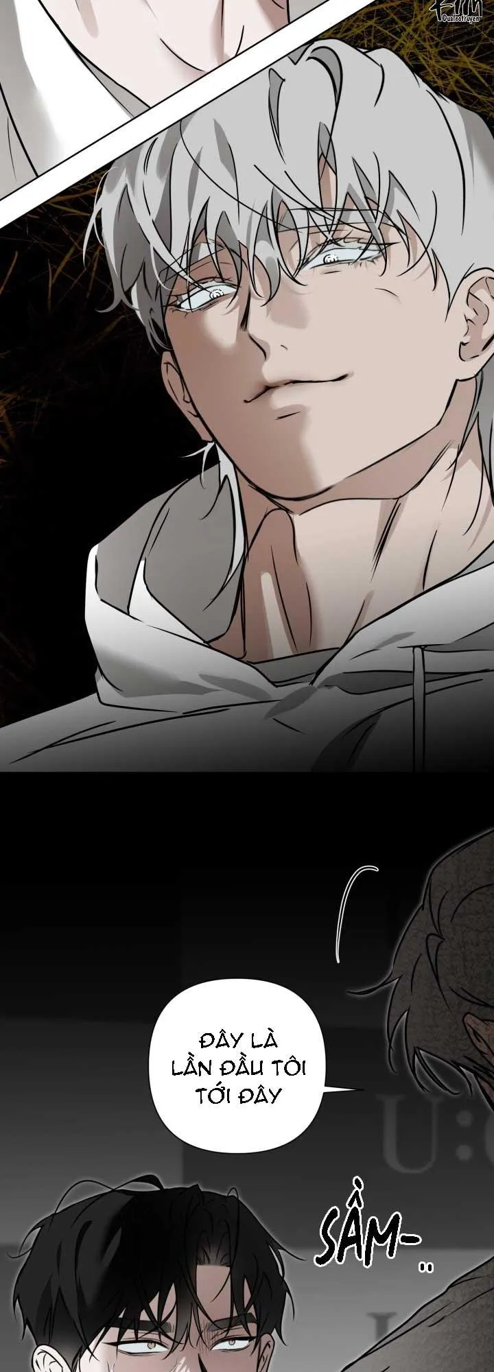 MY IDOL DIARY Chapter 3 Trang 12