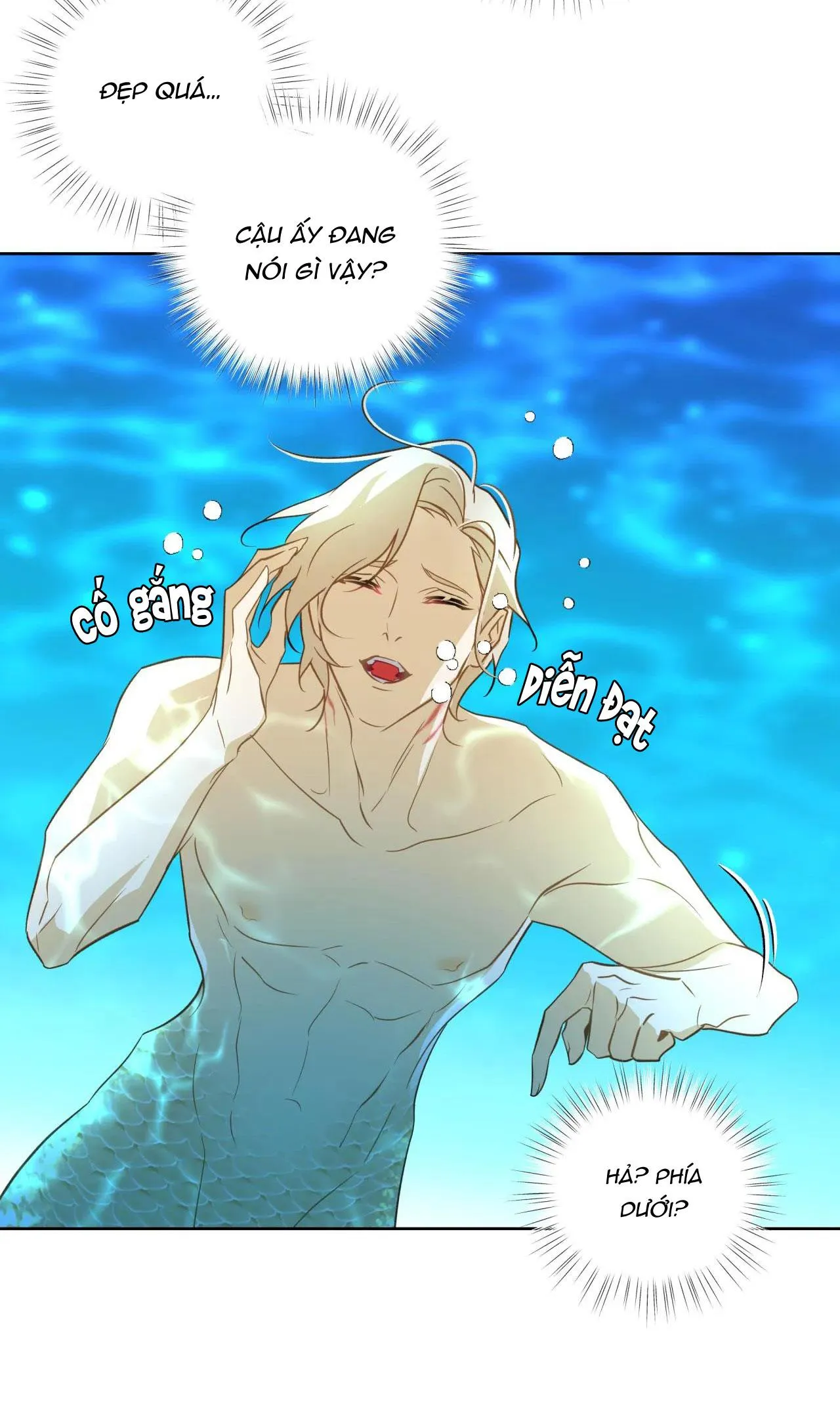 MỸ NHÂN NGƯ Chapter 2 Trang 17