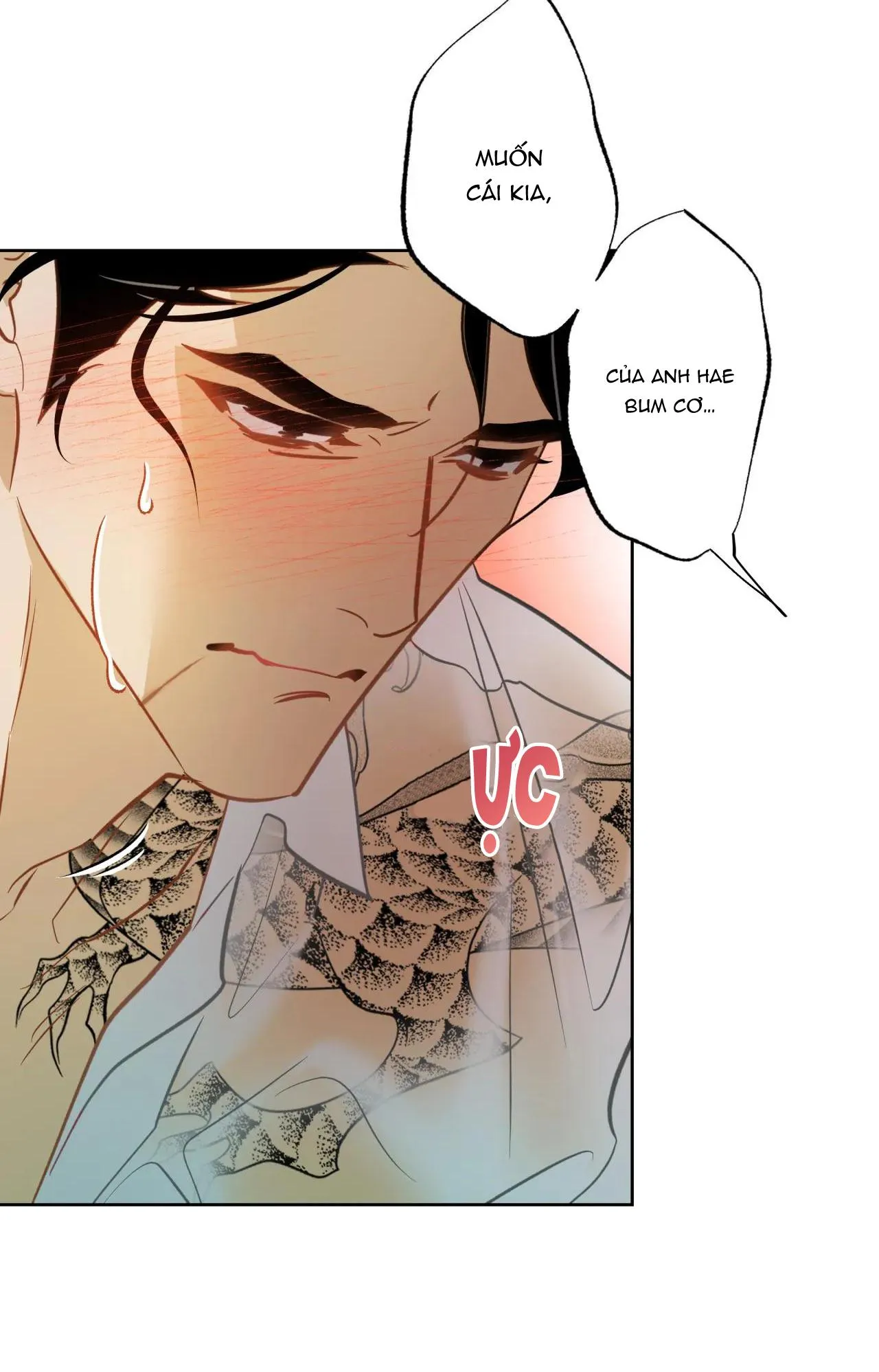 MỸ NHÂN NGƯ Chapter 6 Trang 49