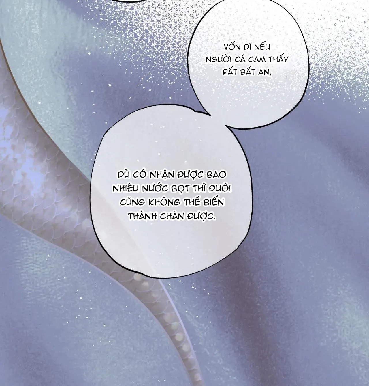 MỸ NHÂN NGƯ Chapter 10 Trang 12