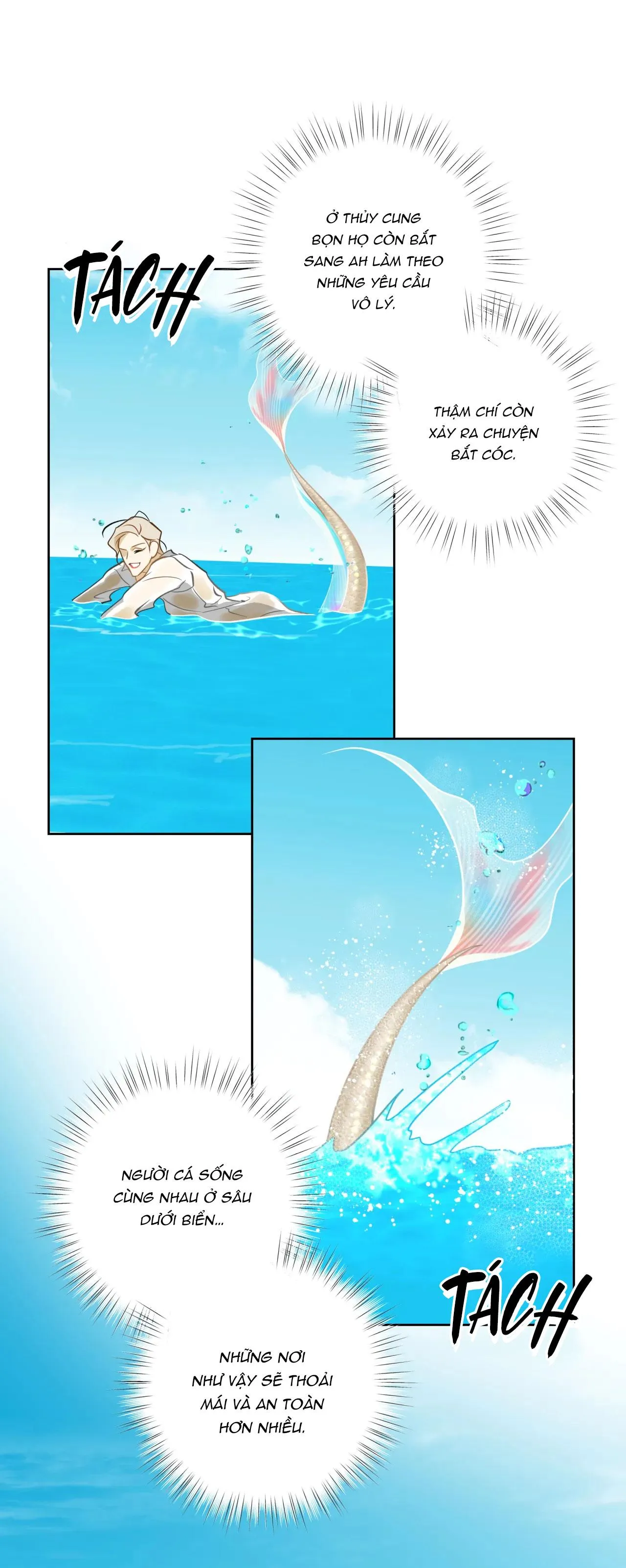 MỸ NHÂN NGƯ Chapter 14 Trang 6