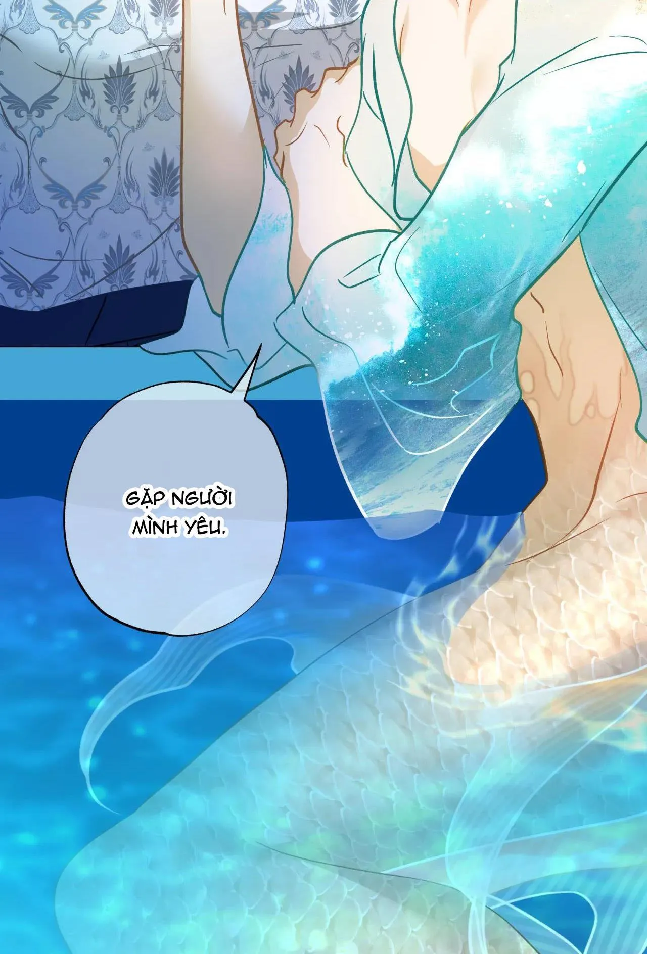 MỸ NHÂN NGƯ Chapter 16 Trang 77