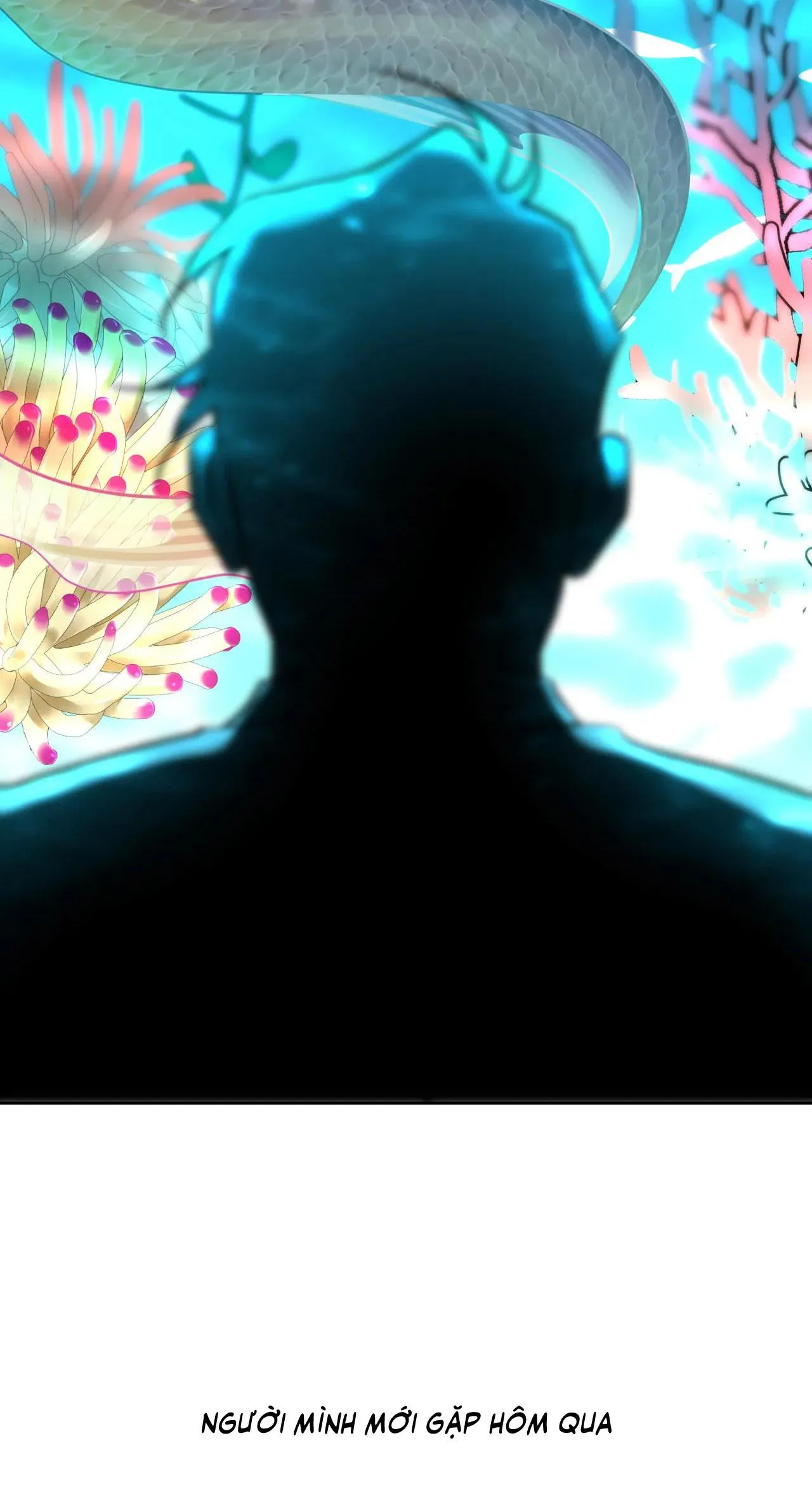 MỸ NHÂN NGƯ Chapter 1 Trang 100