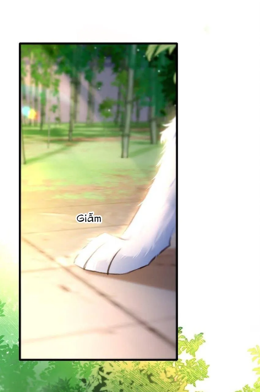 Nam chủ sao lại quyến rũ ta Chapter 3 Trang 36