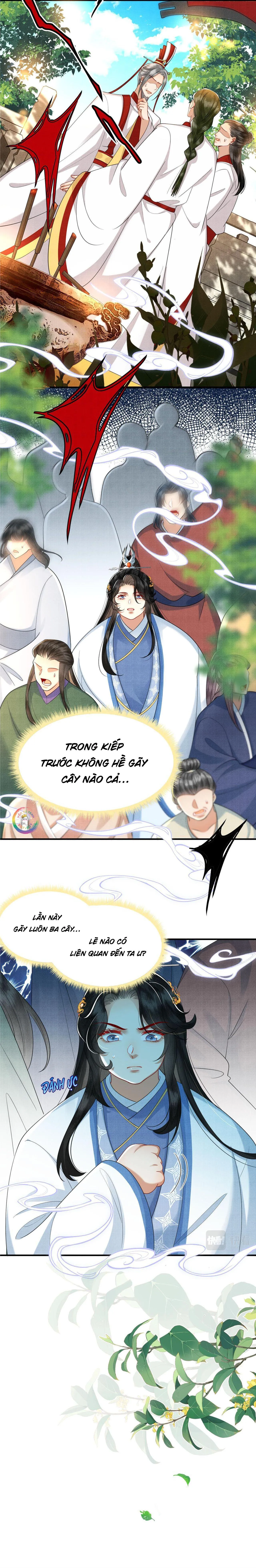 Nam Thê Vô Dụng Sống Lại Rồi!!! Chapter 15 Trang 5