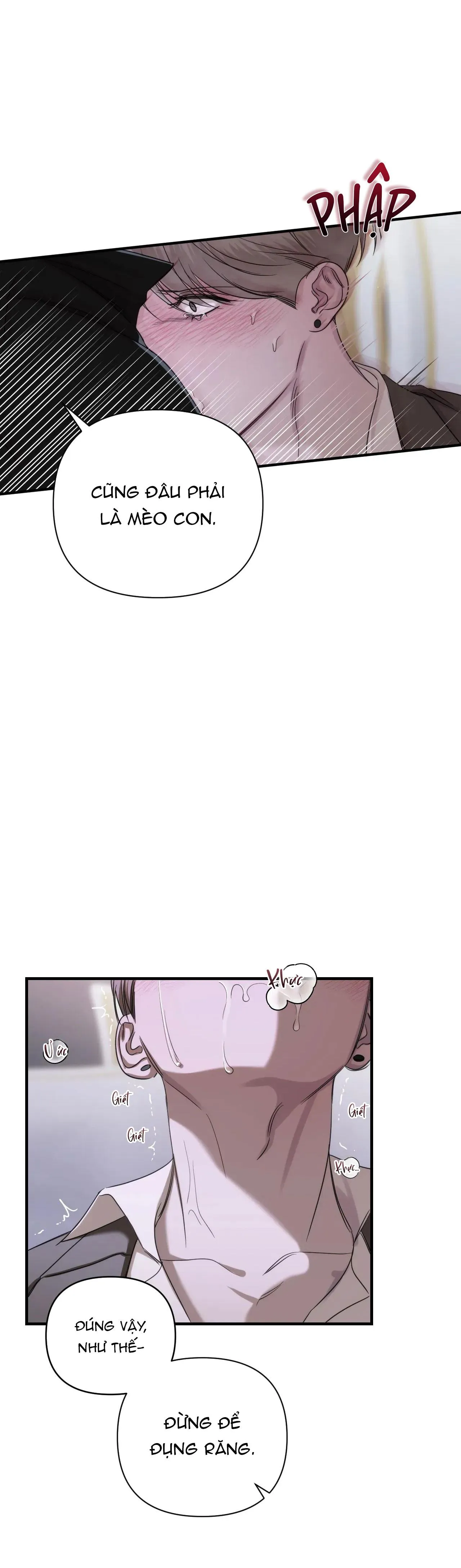 NAME ME Chapter 13 Trang 5