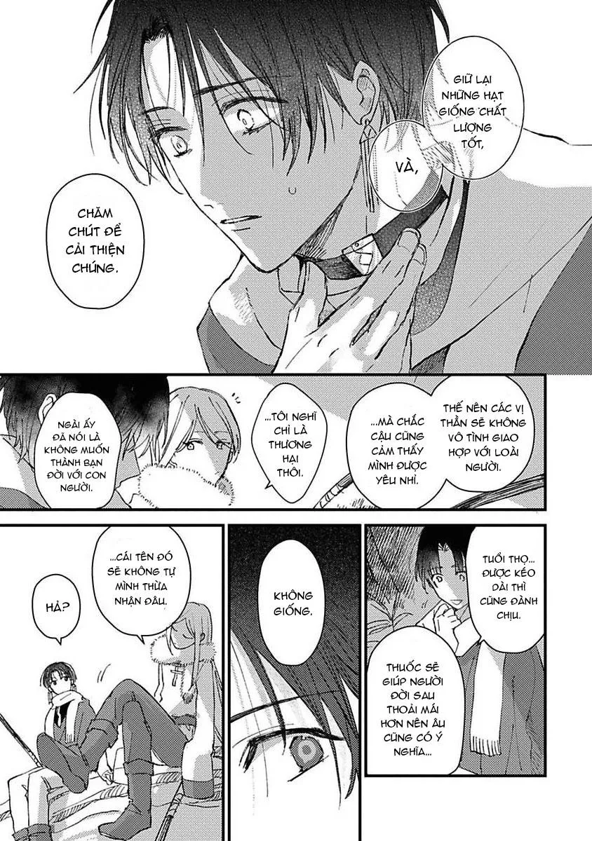 Nắng Dịu Mùa Đông Và Cô Dâu Nhỏ Chapter 3 Trang 13