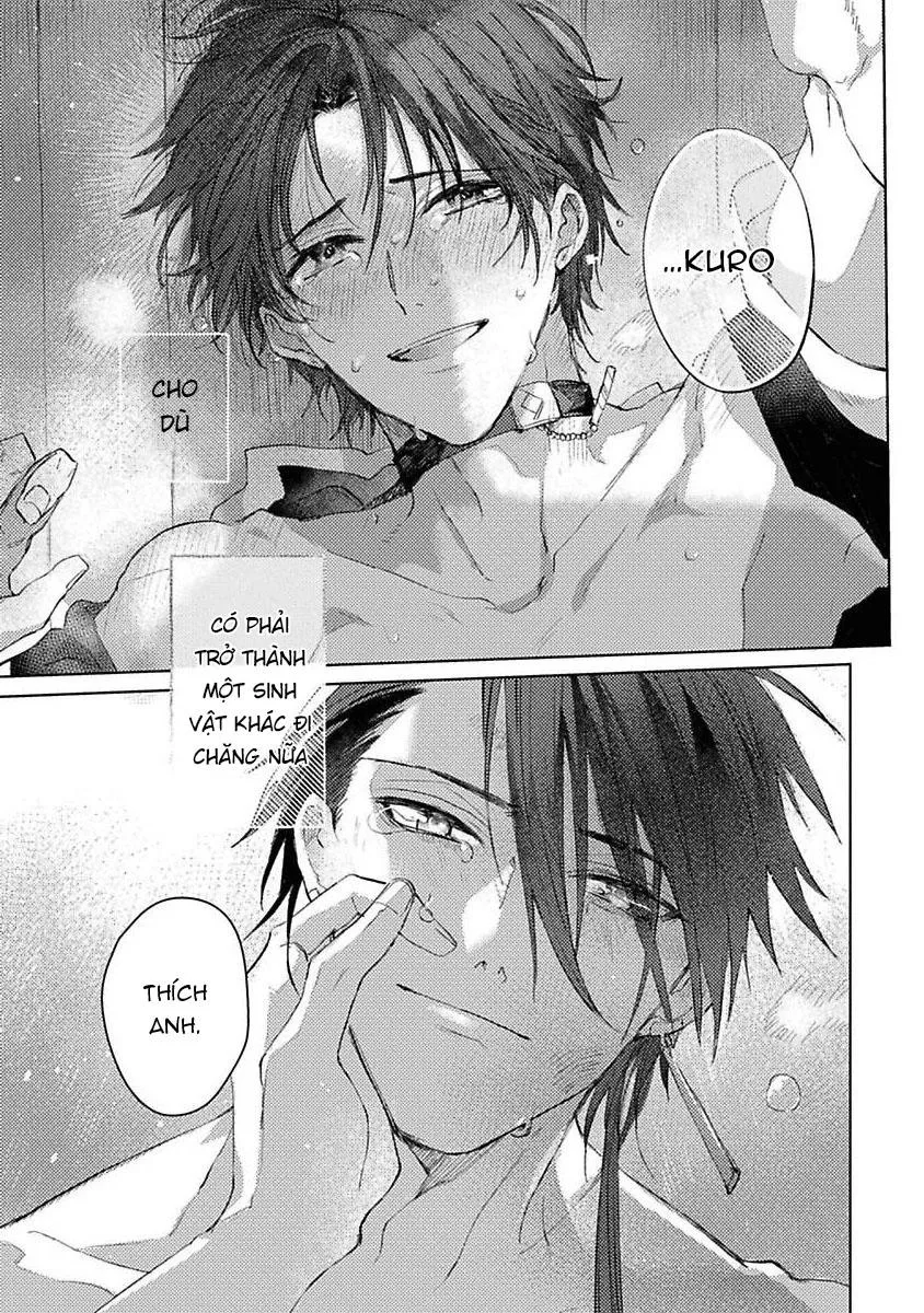 Nắng Dịu Mùa Đông Và Cô Dâu Nhỏ Chapter 4 Trang 25