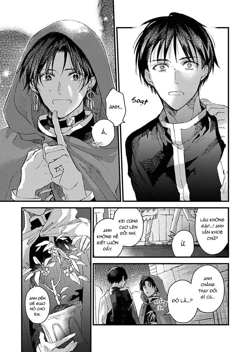 Nắng Dịu Mùa Đông Và Cô Dâu Nhỏ Chapter 5 Trang 13