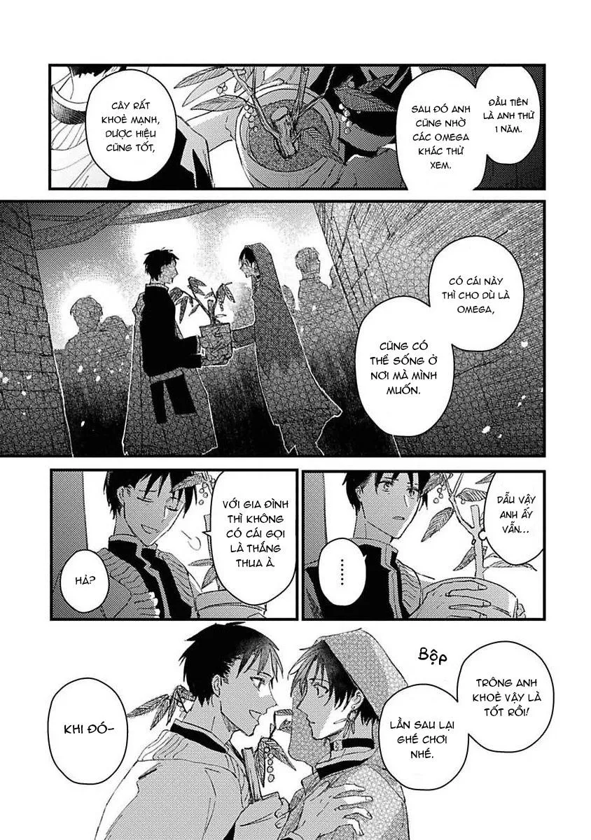 Nắng Dịu Mùa Đông Và Cô Dâu Nhỏ Chapter 5 Trang 15