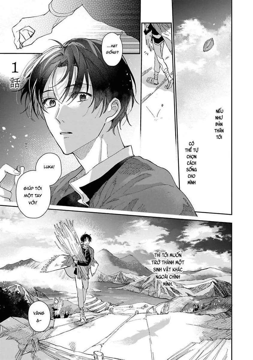 Nắng Dịu Mùa Đông Và Cô Dâu Nhỏ Chapter 1 Trang 5