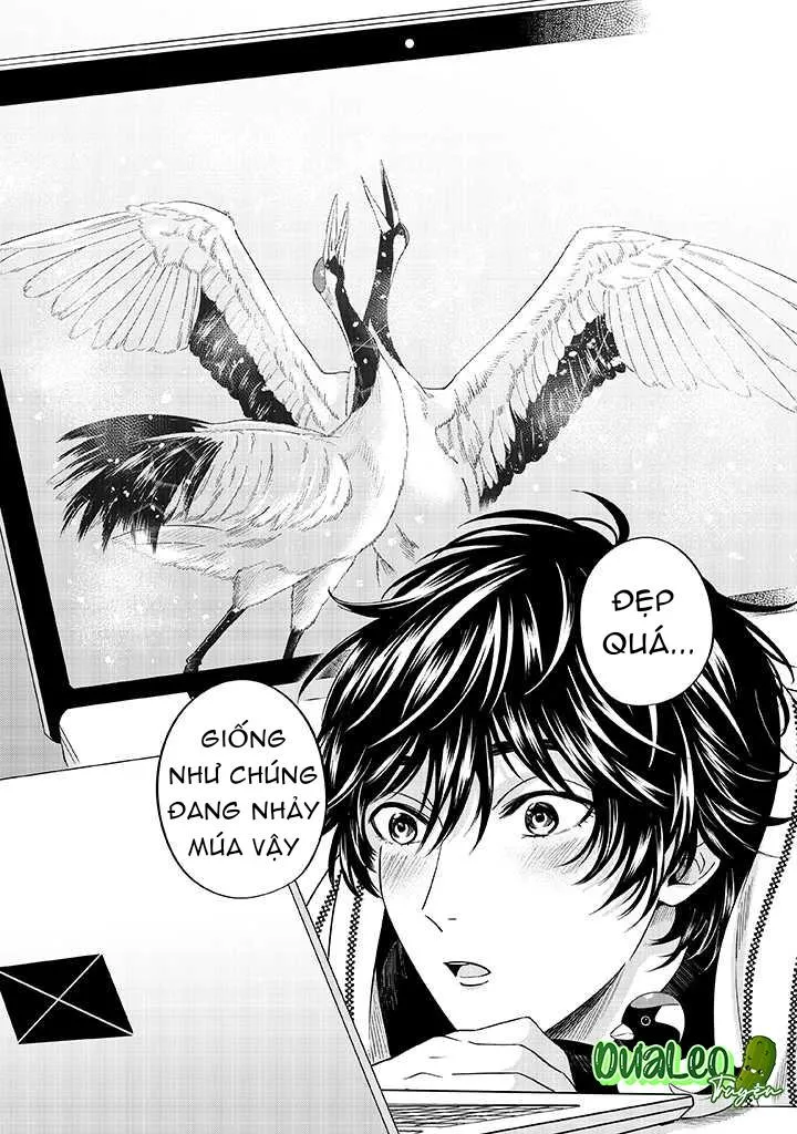 Nàng Tiên Tuyết Chapter 5 Trang 10