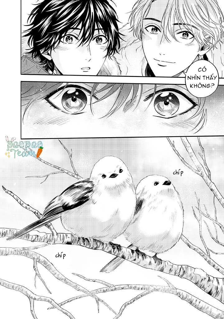 Nàng Tiên Tuyết Chapter 5 Trang 24