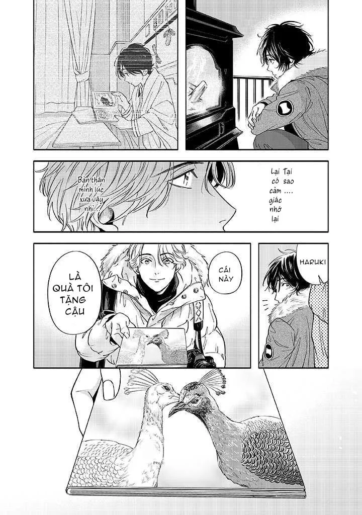 Nàng Tiên Tuyết Chapter 1 Trang 22