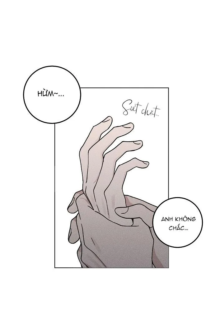 Này, anh đã trộm mất trái tim của tôi rồi. Chapter 1 Trang 52