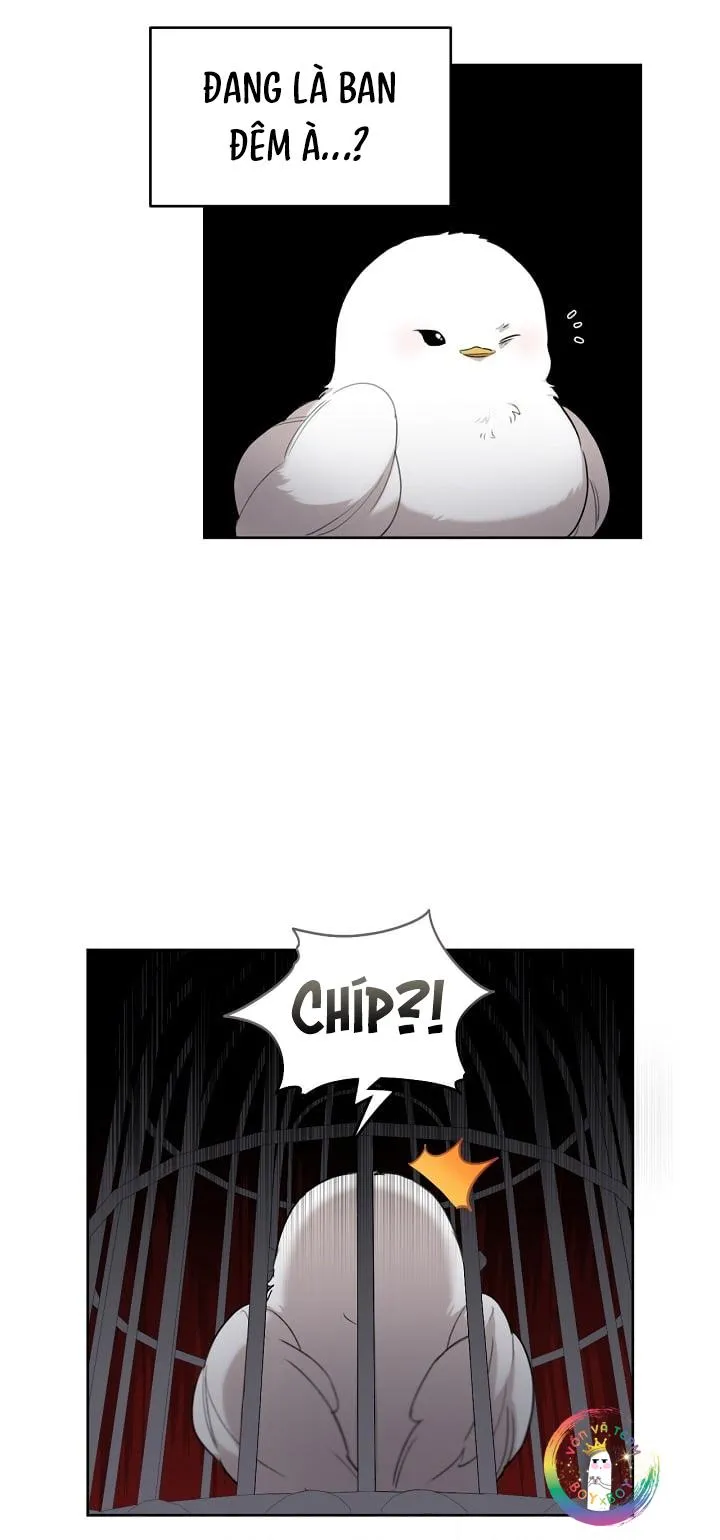 (END) Này, Đừng Có Nhấn Cái Nút Đó! Chapter 2 Trang 19