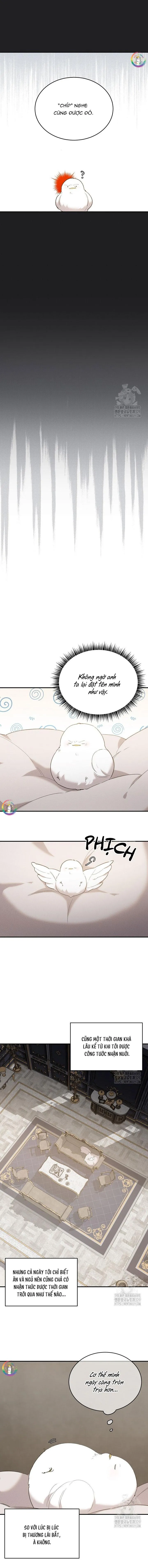 (END) Này, Đừng Có Nhấn Cái Nút Đó! Chapter 7 Trang 7